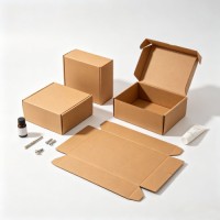 Wholesale Flat Fold Auto Lock Mailer Box Blank White Aircraft Shipping Box No Glue Assembly For E-commerce Packaging